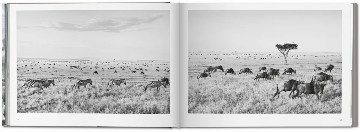 TASCHEN Sebastião Salgado. Africa Rabatt