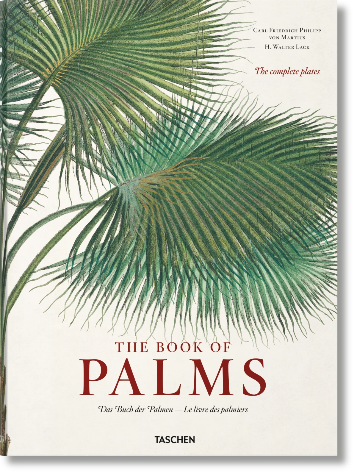 TASCHEN Martius. The Book of Palms Begrenztes Angebot