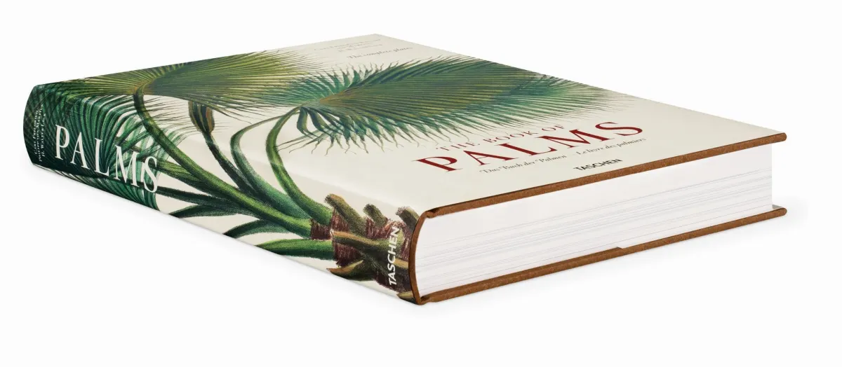 TASCHEN Martius. The Book of Palms Begrenztes Angebot