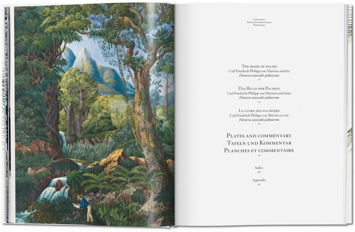 TASCHEN Martius. The Book of Palms Begrenztes Angebot