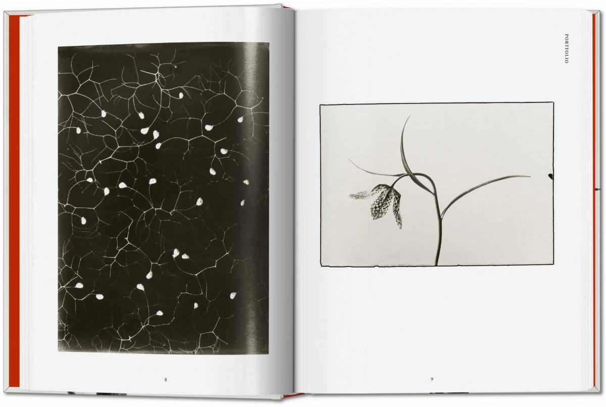 TASCHEN Karl Blossfeldt. The Complete Published Work. 40th Ed Super Rabatt