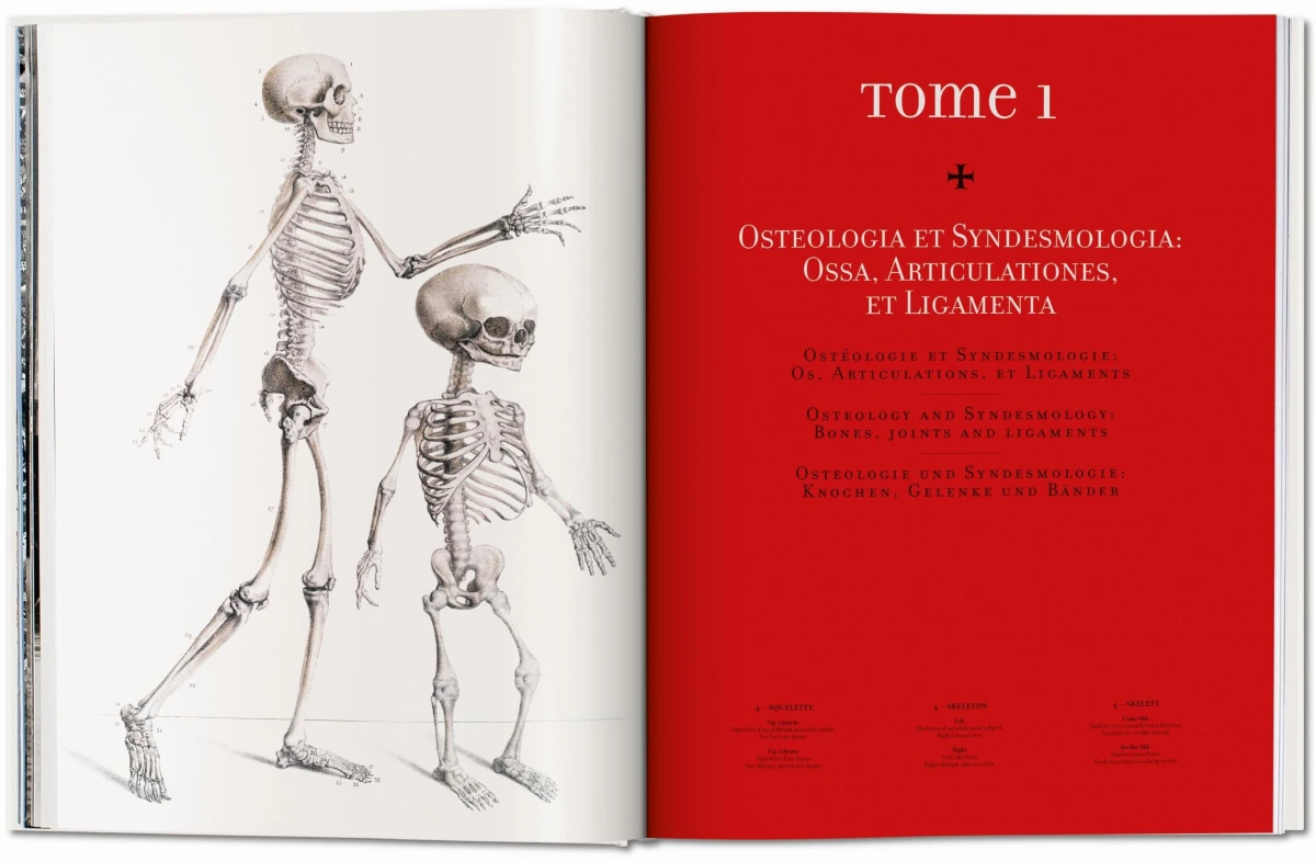 TASCHEN Bourgery. Atlas of Human Anatomy and Surgery Verkauf