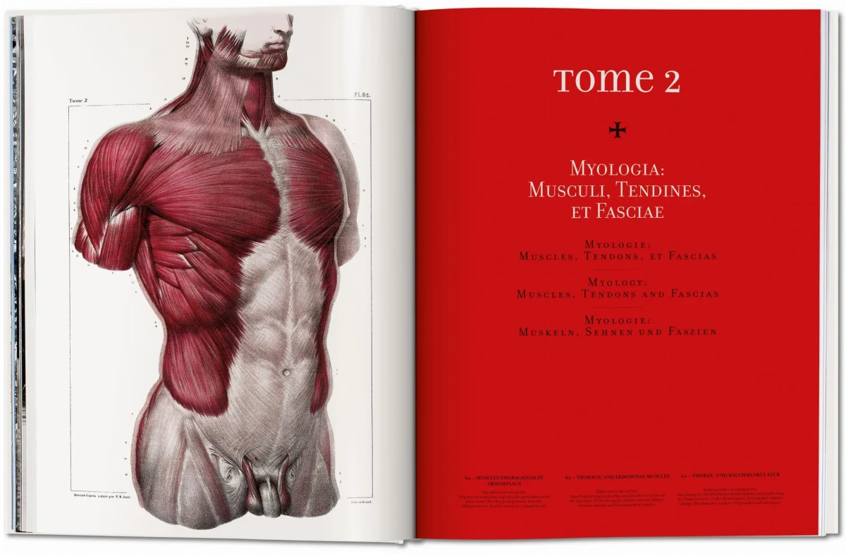 TASCHEN Bourgery. Atlas of Human Anatomy and Surgery Verkauf