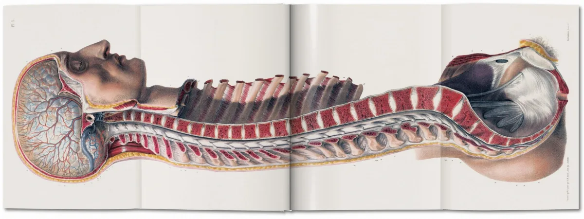 TASCHEN Bourgery. Atlas of Human Anatomy and Surgery Verkauf