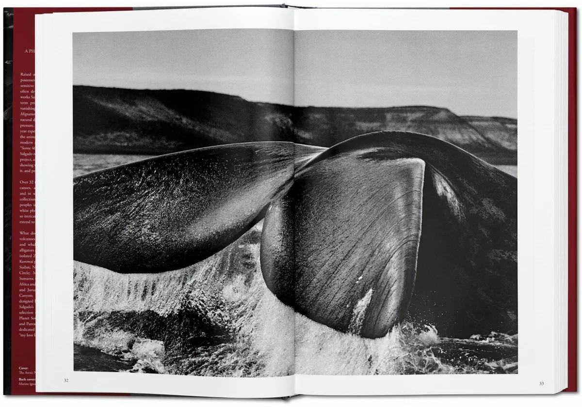 TASCHEN Sebastião Salgado. Genesis Saisonale Angebote
