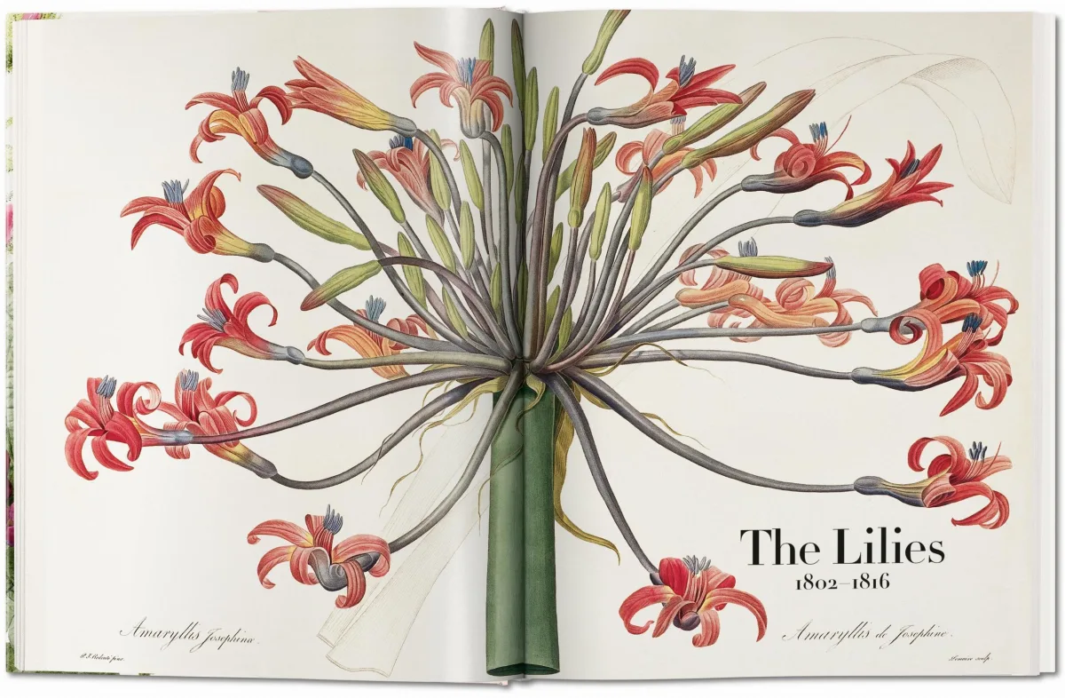 TASCHEN Redouté. The Book of Flowers Kauf eins, bekomm eins gratis