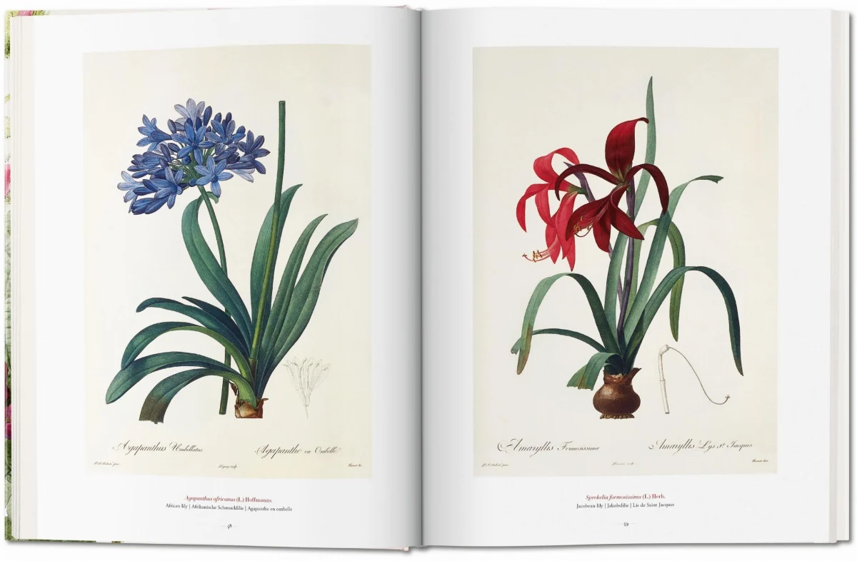 TASCHEN Redouté. The Book of Flowers Kauf eins, bekomm eins gratis