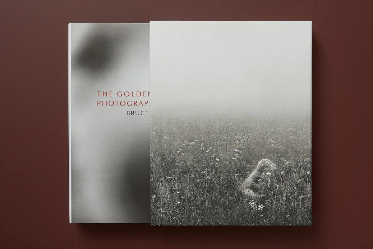 TASCHEN Bruce Weber. The Golden Retriever Photographic Society Letzte 3 Tage