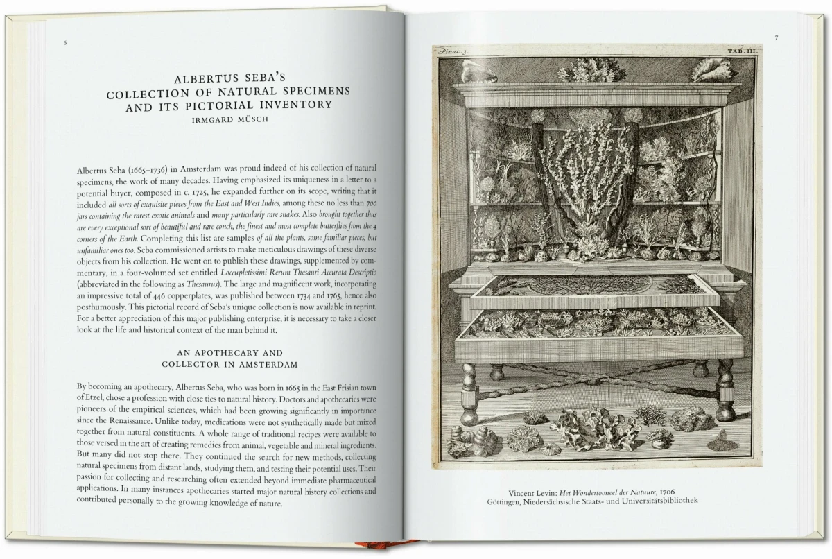 TASCHEN Seba. Cabinet of Natural Curiosities. 40th Ed JETZT KAUFEN