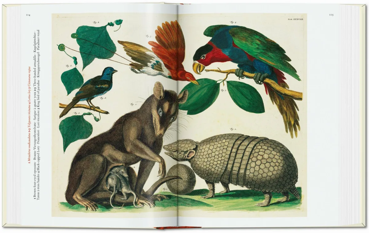 TASCHEN Seba. Cabinet of Natural Curiosities. 40th Ed JETZT KAUFEN