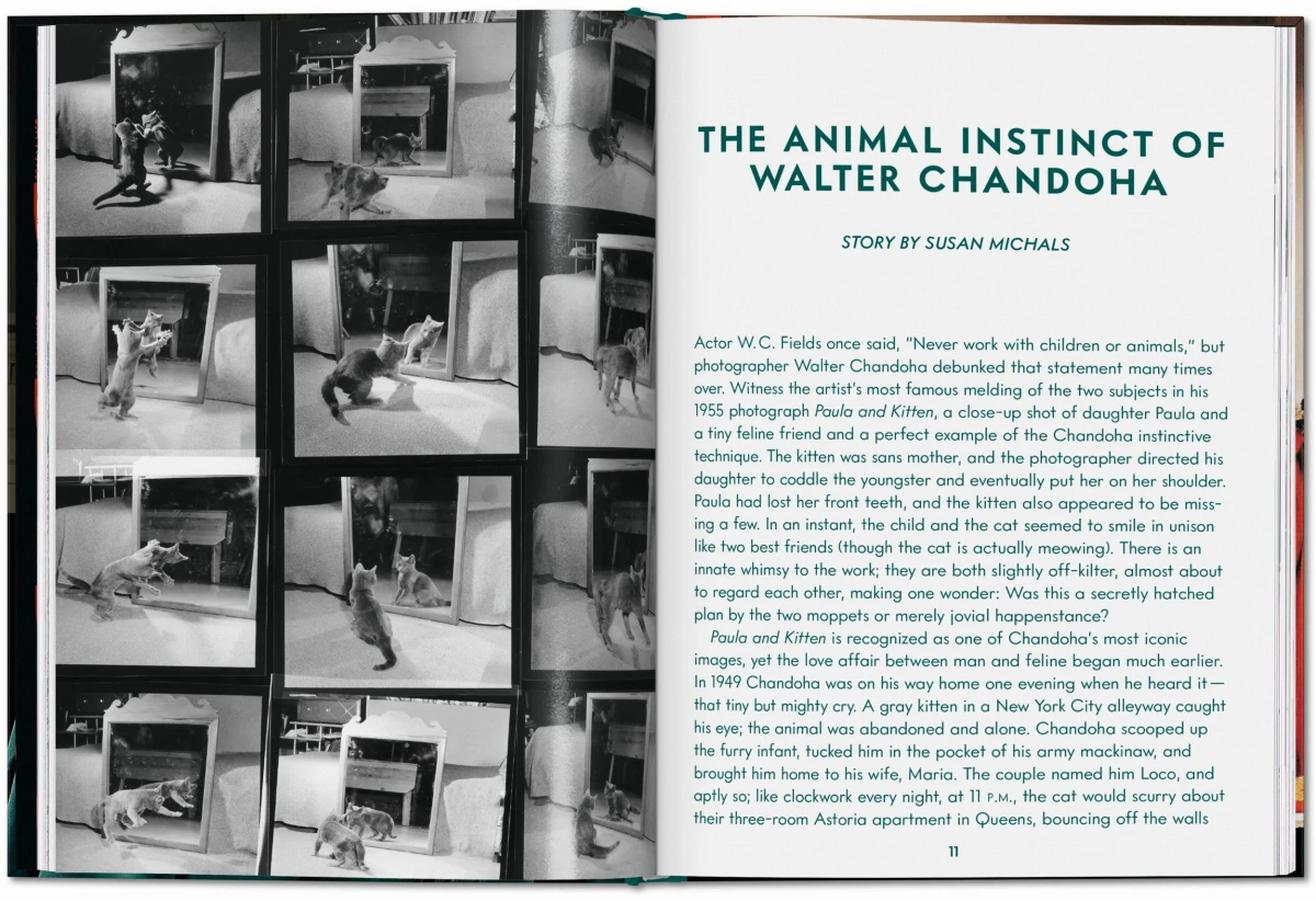 TASCHEN Walter Chandoha. Cats. Photographs 1942–2018 Auslauf