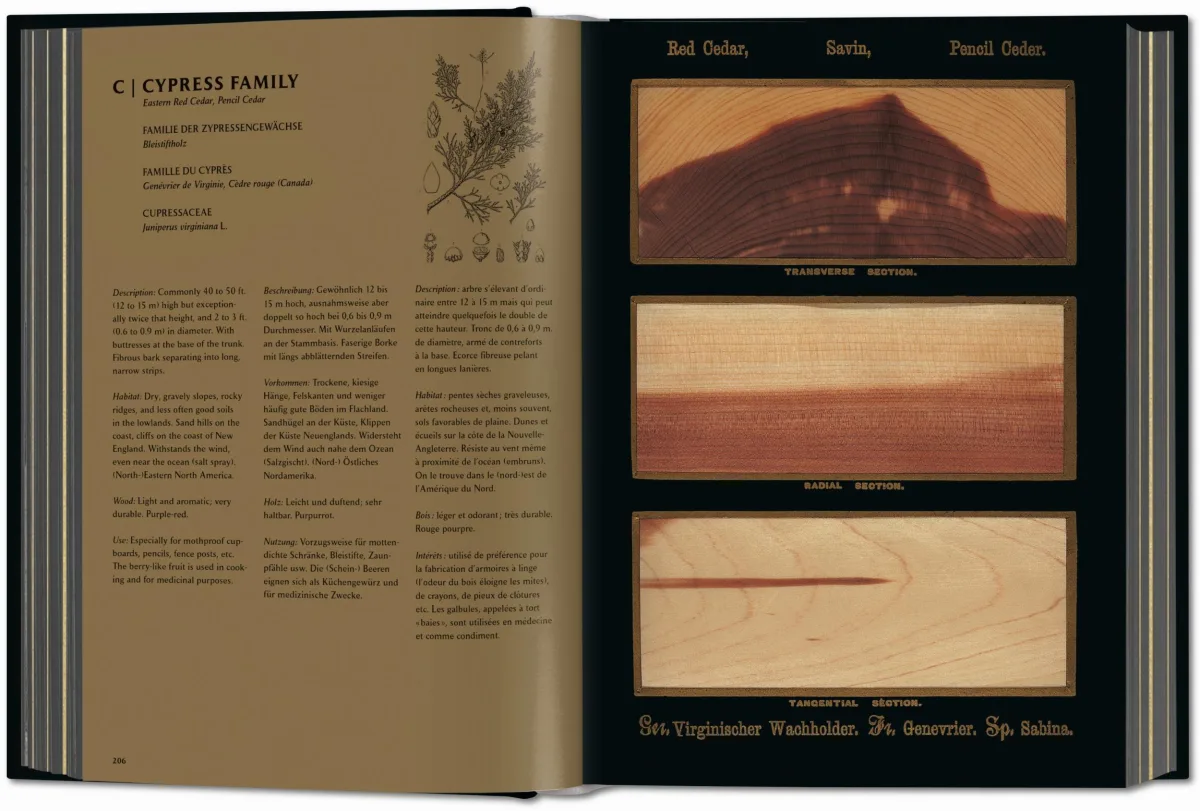 TASCHEN Romeyn B. Hough. The Woodbook. The Complete Plates Begrenztes Angebot