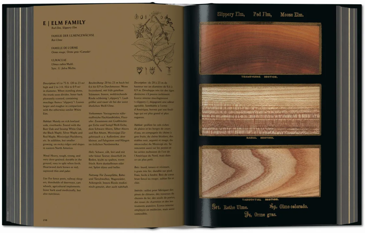 TASCHEN Romeyn B. Hough. The Woodbook. The Complete Plates Begrenztes Angebot