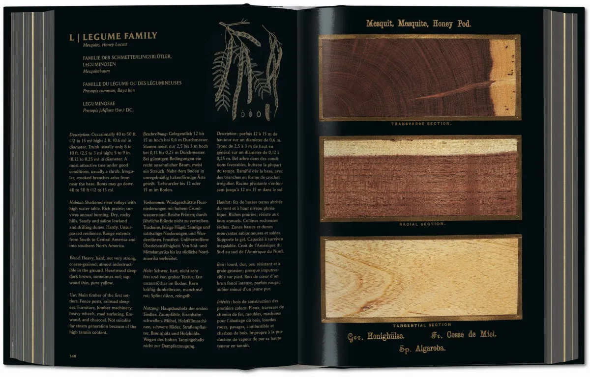 TASCHEN Romeyn B. Hough. The Woodbook. The Complete Plates Begrenztes Angebot