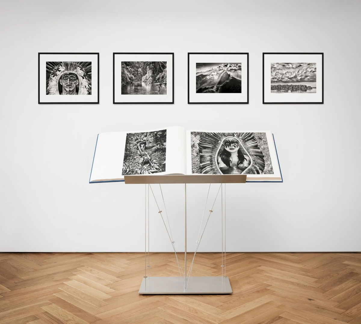 TASCHEN Sebastião Salgado. Amazônia, Art Edition No. 301–400 ‘The Paraná connecting the Rio Negro with the Cuyuní River’ Hotsell