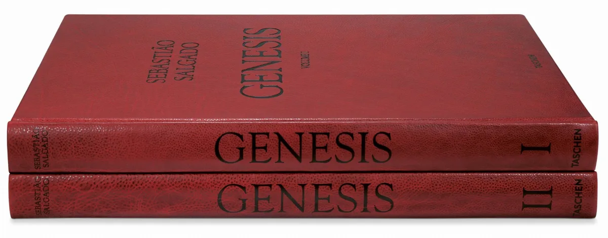 TASCHEN Sebastião Salgado. Genesis. Art Edition No. 201–300 ‘Black-Browed Albatrosses, Falkland Islands’ Günstiger Verkauf