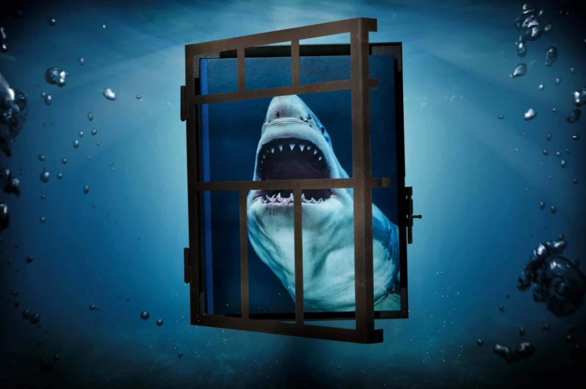 TASCHEN Michael Muller. Sharks Fabrik Onlineshop