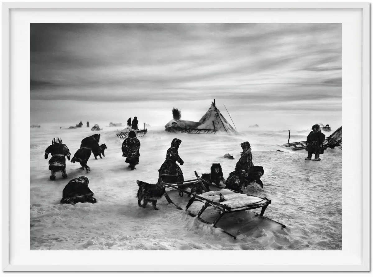 TASCHEN Sebastião Salgado. Genesis. Art Edition No. 101–200 ‘North of the Ob River, Yamal Peninsula, Siberia, Russia’ Flash Sale