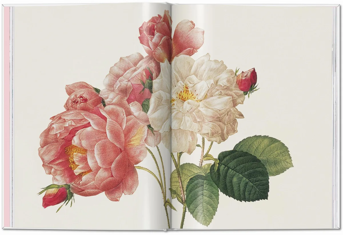 TASCHEN Redouté. Roses Super Rabatt