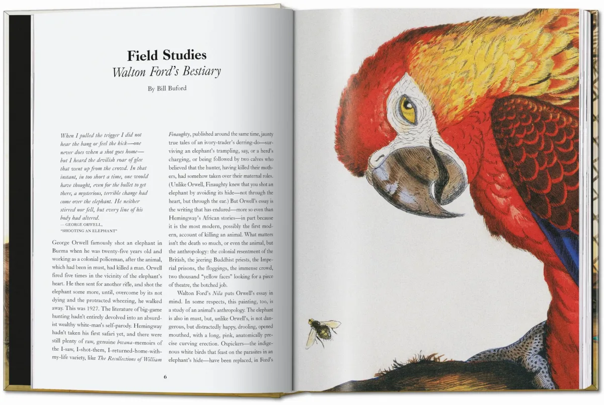 TASCHEN Walton Ford. 40th Ed Rabatte dieses Monats