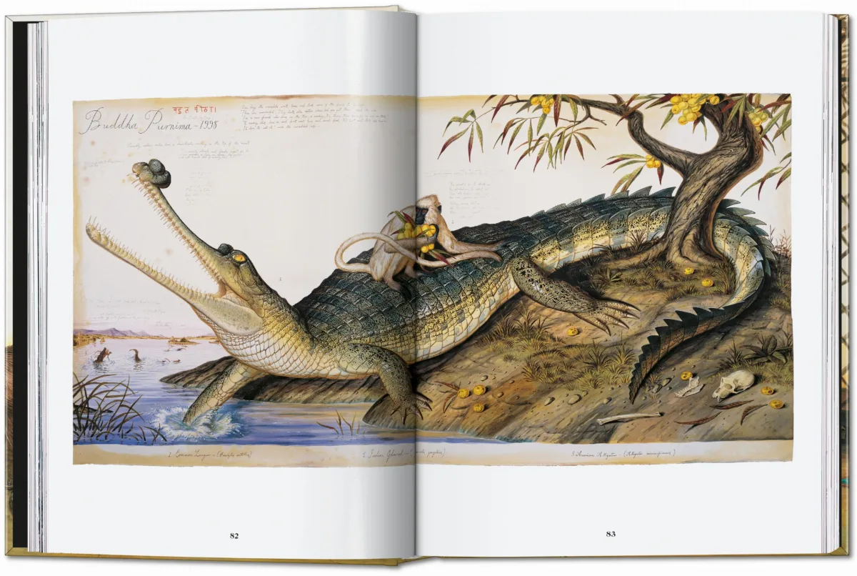 TASCHEN Walton Ford. 40th Ed Rabatte dieses Monats