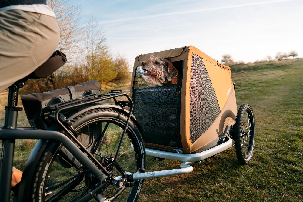 babymarkt Hundefahrradanhänger Dog Mikke Sundown yellow Neueste Stile
