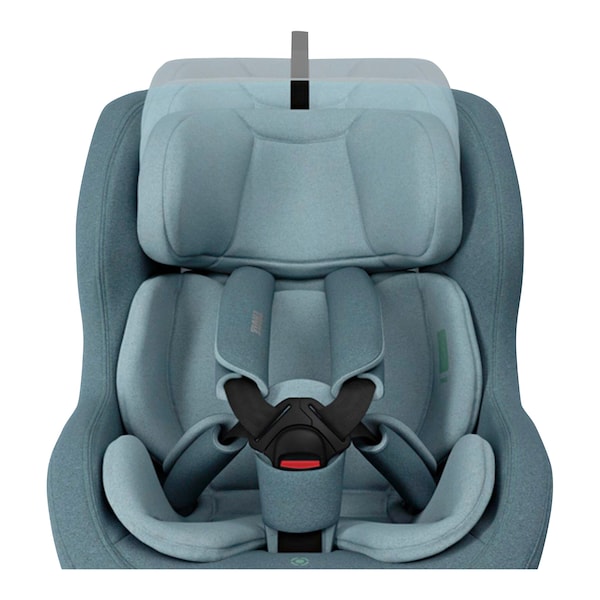 babywalz ThuleKindersitz Elm Toddler Vatertagsangebot