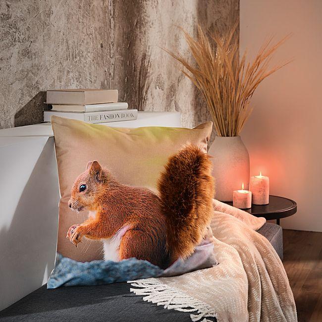 babybutt REDBEST Kissenhülle "Eichhörnchen" Vierteljährliche Förderung